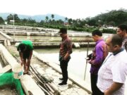 Masyarakat Keluhkan Kurangnya Bibit Ikan, Bupati Lampung Barat Turun ke Lokasi