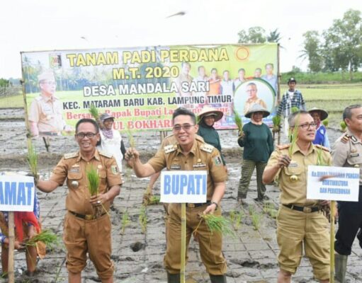 Hi. Zaiful Bokhari : Jangan Sampai Petani Kita Mengeluhkan Hal Yang Sama