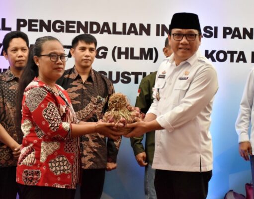 Panen Bawang Merah di Kota Metro, Diharapkan Mampu Kendalikan Inflasi Pangan