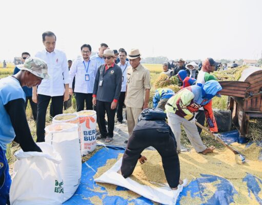 Panen Raya di Subang, Presiden: Diharapkan Tambah Cadangan Beras Kita